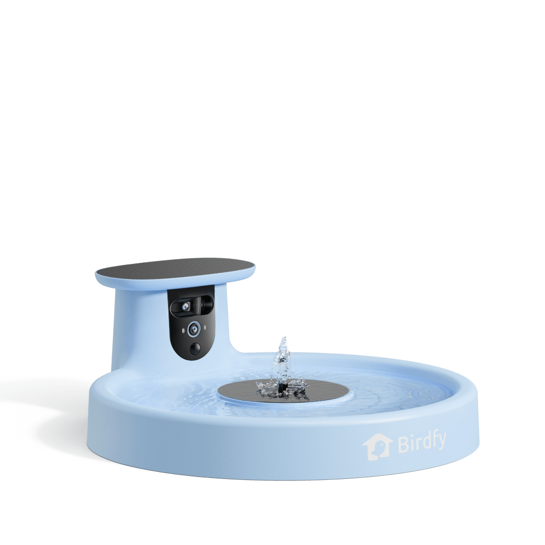 Birdfy Bath Pro